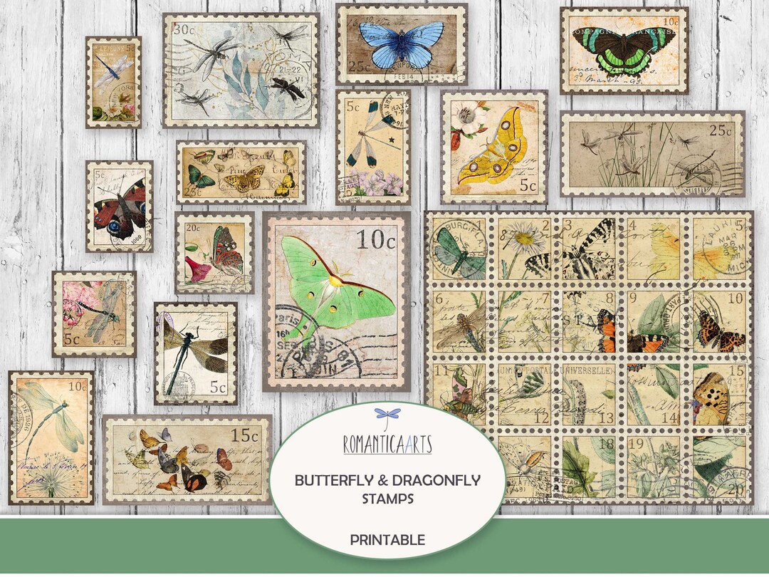 Tampons Et Matrices De Découpe En Forme De Papillon Pour La Fabrication