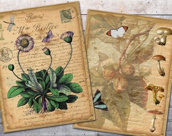 Vintage Botanical And Butterfly Paper, Printable Floral, Shabby Flowers, Digital Botanical, French Ephemera, Junk Journal, Digital Download