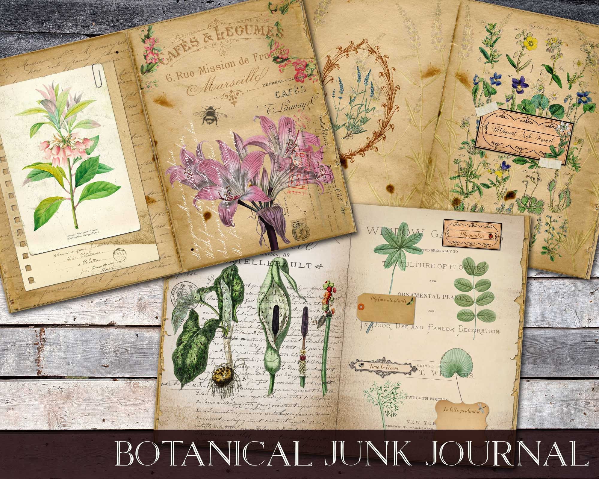 Botany journal