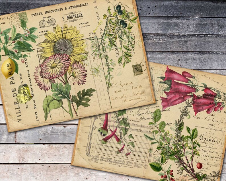 write write an essay