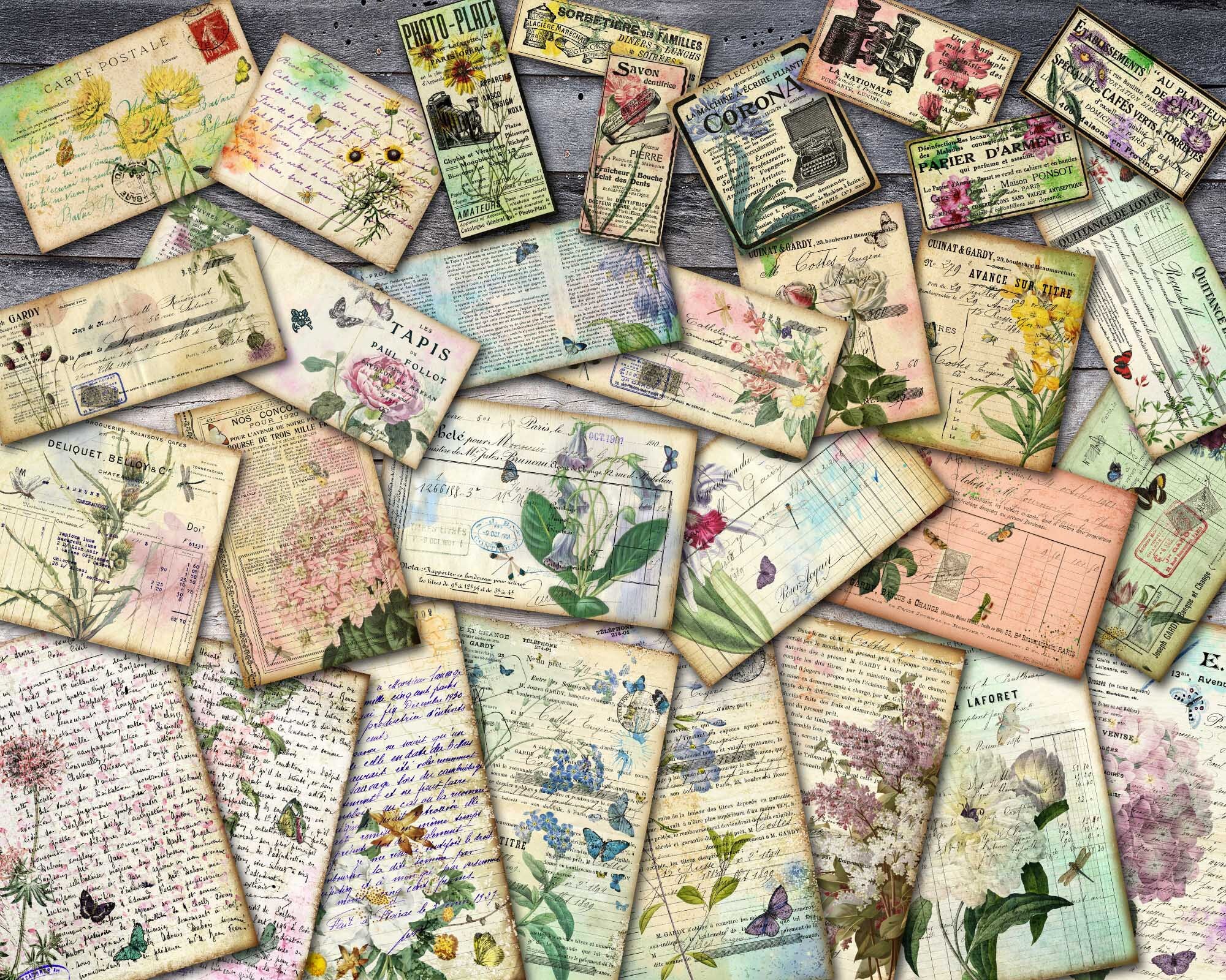 French Botanical Ephemera Paper Vintage French Ephemera Paper Etsy