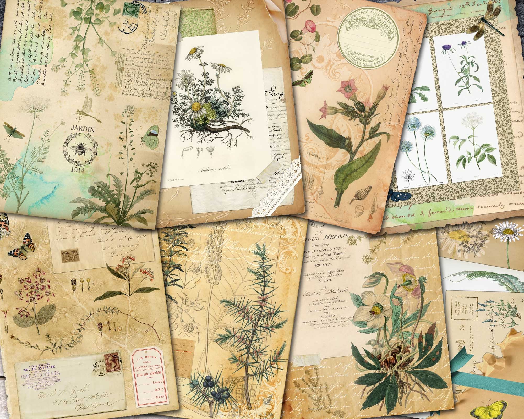 Herbal Printable Paper for Journal Herbs Junk Journal Pages - Etsy UK