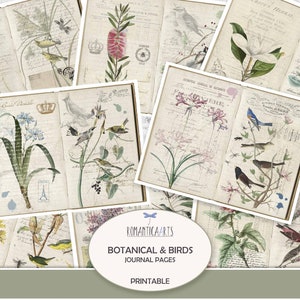 Pages de journal botanique et oiseaux, papier numérique fleurs, oiseau à imprimer, arrière-plan du carnet, style vintage, journal indésirable, téléchargement numérique