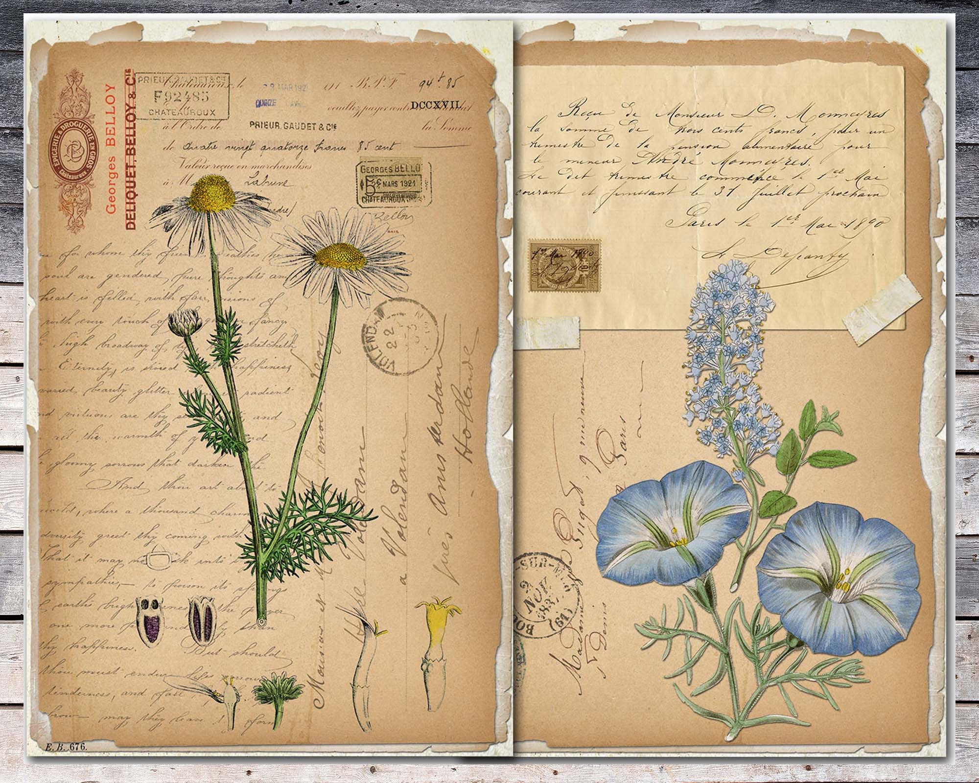 Botany journal