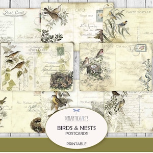 Carte postale oiseaux et nids, téléchargement numérique, papier de scrapbooking, carte postale oiseau vintage, carte oiseau imprimable, encart de journal oiseau, fourniture de journal