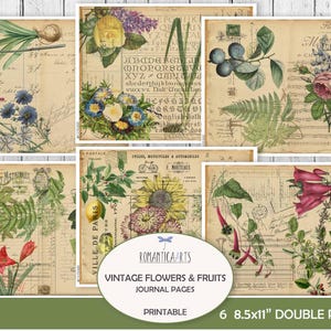 Pages vintage de carnet de fleurs et de fruits, papiers de jardin, pages de verger, fleurs imprimables, fruits numériques, journal indésirable, téléchargement numérique