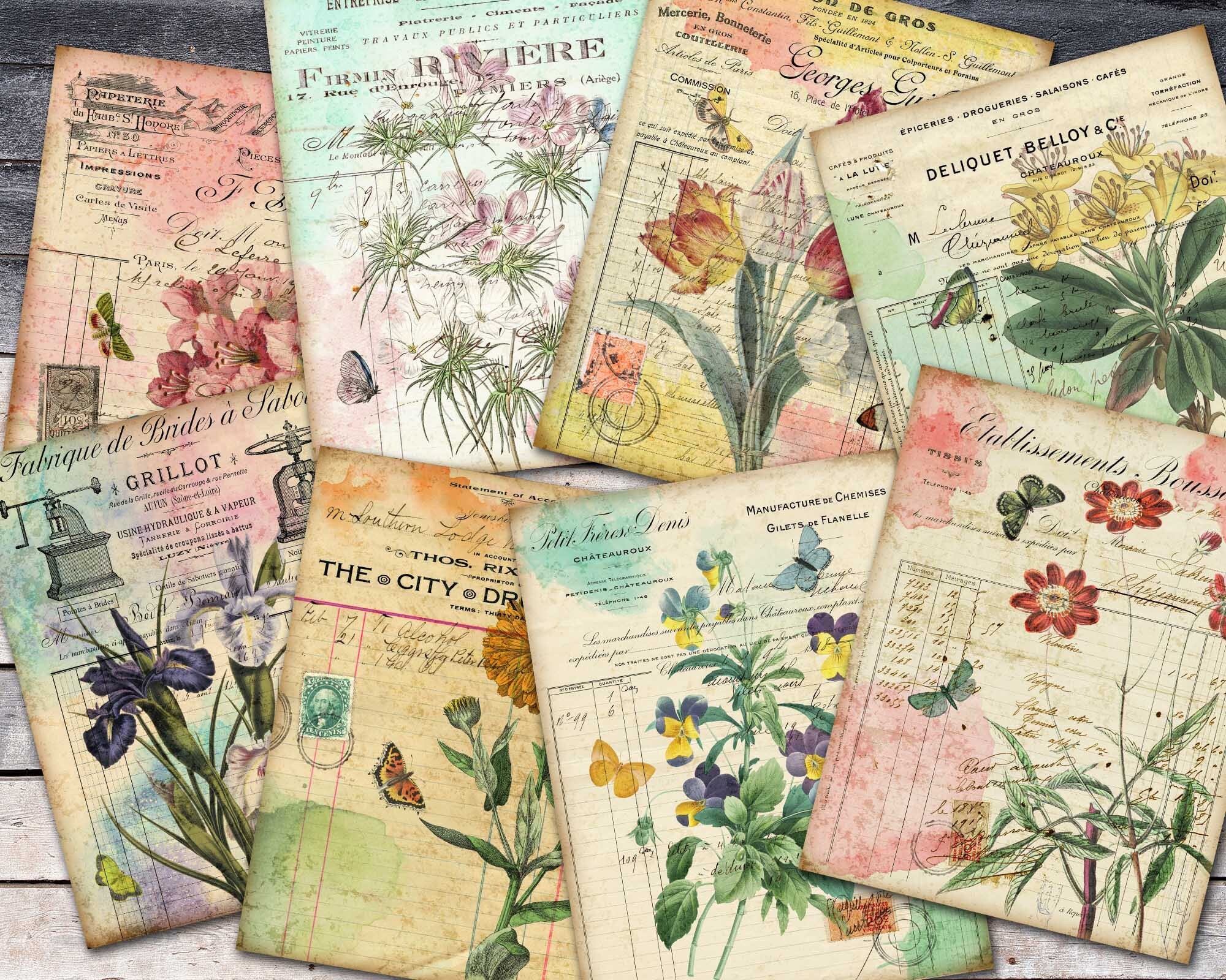Trademark Fine Art Midnight Botanical Ii by Vision Studio 19