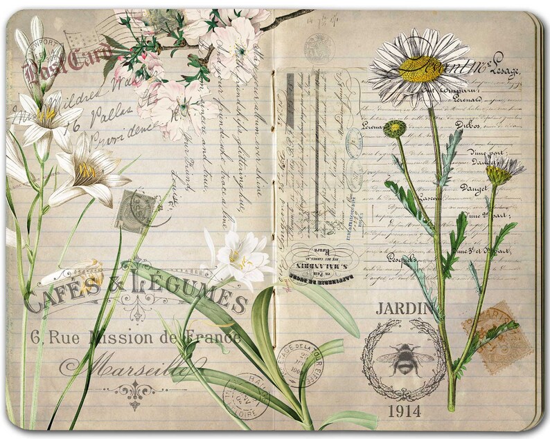 Botanical Printable Paper Vintage French Ephemera Digital Etsy