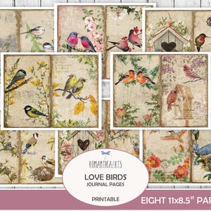 Love Birds Journal papiers, oiseaux et fleurs, oiseaux et nids, oiseaux à imprimer, journal romantique, journal indésirable, téléchargement numérique