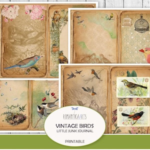 Kit de journal oiseau vintage, oiseau numérique, papier grungy, superposition de pages, papier oiseau minable, journal indésirable, téléchargement numérique