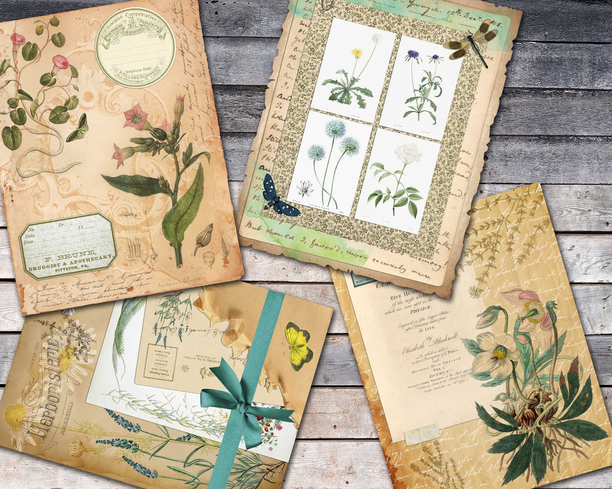Herbal Printable Paper for Journal Herbs Junk Journal Pages - Etsy UK