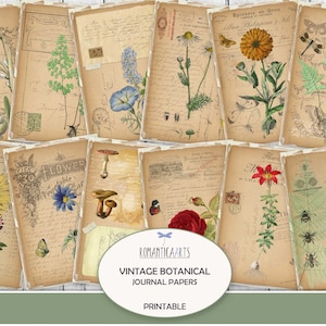 Papiers pour journal botanique, fleur numérique, fleurs éphémères, journal botanique, floral vintage, feuille de collage de fleurs, téléchargement numérique