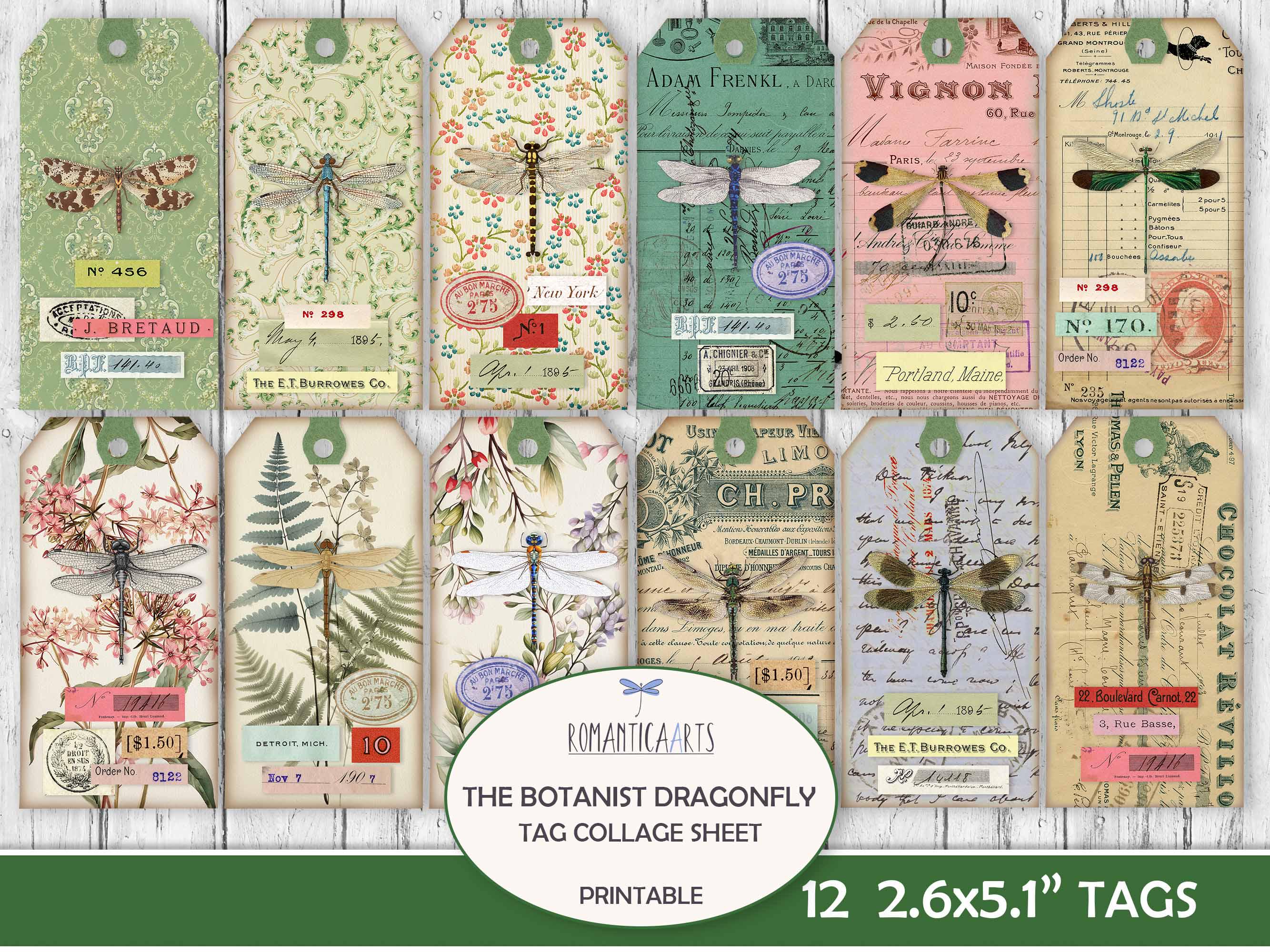 ♡１３０種♡　フランス　アンティーク　植物標本　ボタニカル　ブロカント　台紙厚め ♡130種♡ フランス アンティーク 植物標本 ボタニカル
