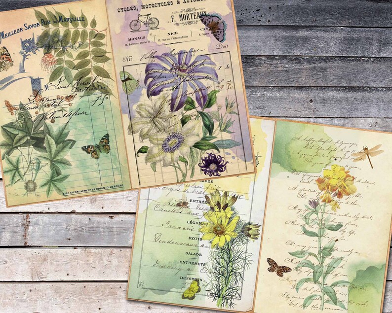 Botanical Ephemera Paper for Journal Digital Botanical Pages - Etsy