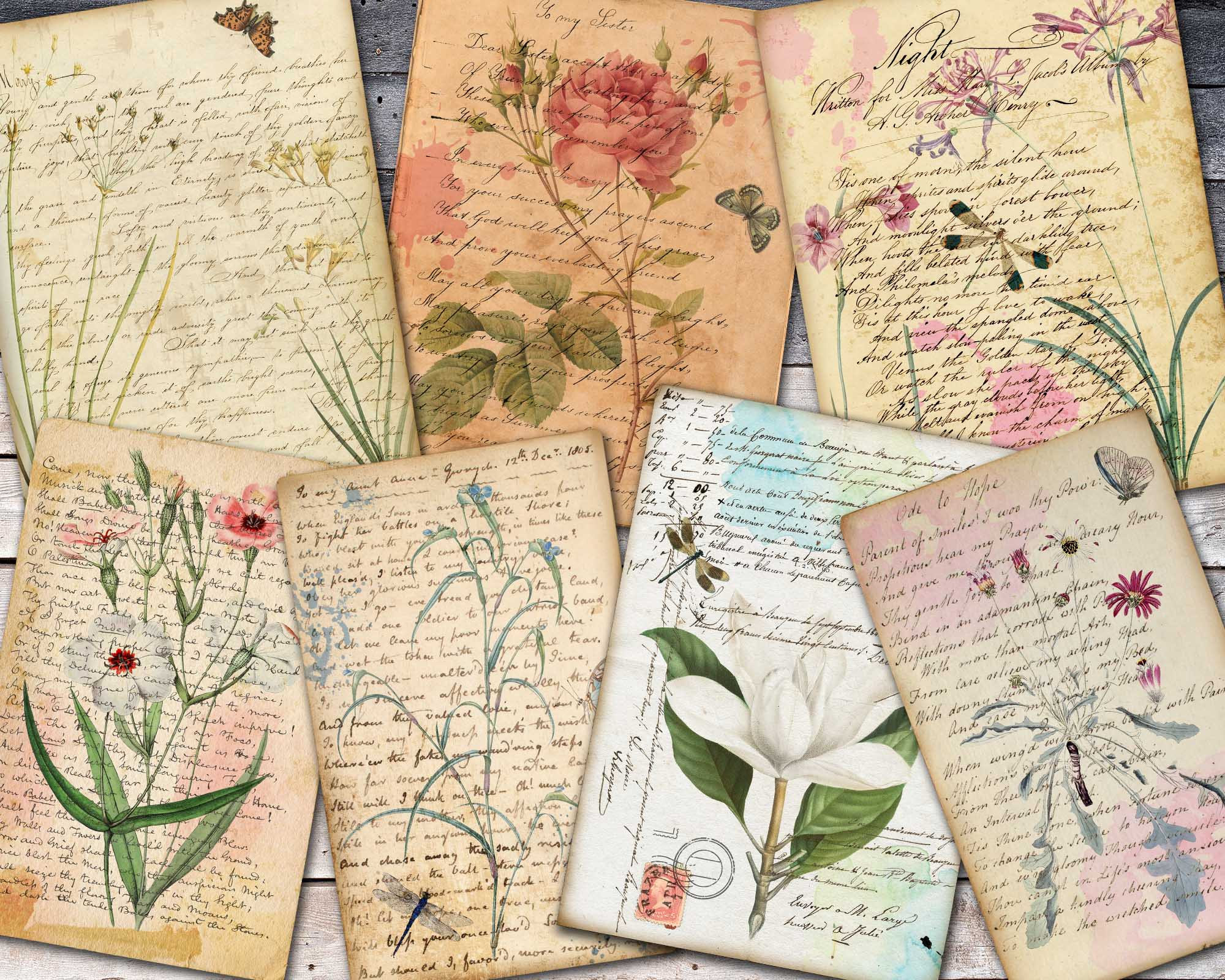 Digital Script And Botanical Ephemera Papers For Journal | Etsy