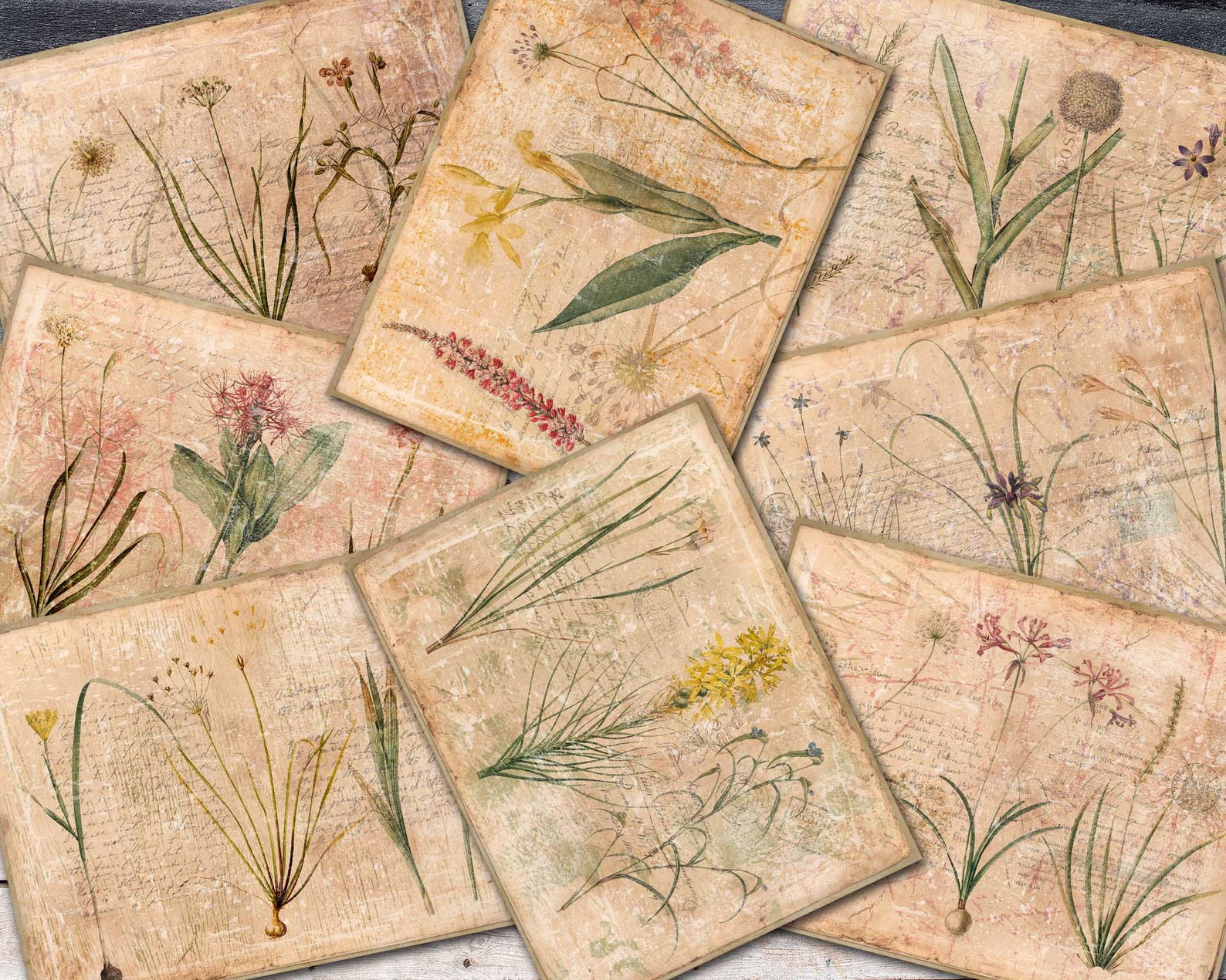 Shabby Botanical Journal Paper Vintage Style Botanical Pages Etsy UK