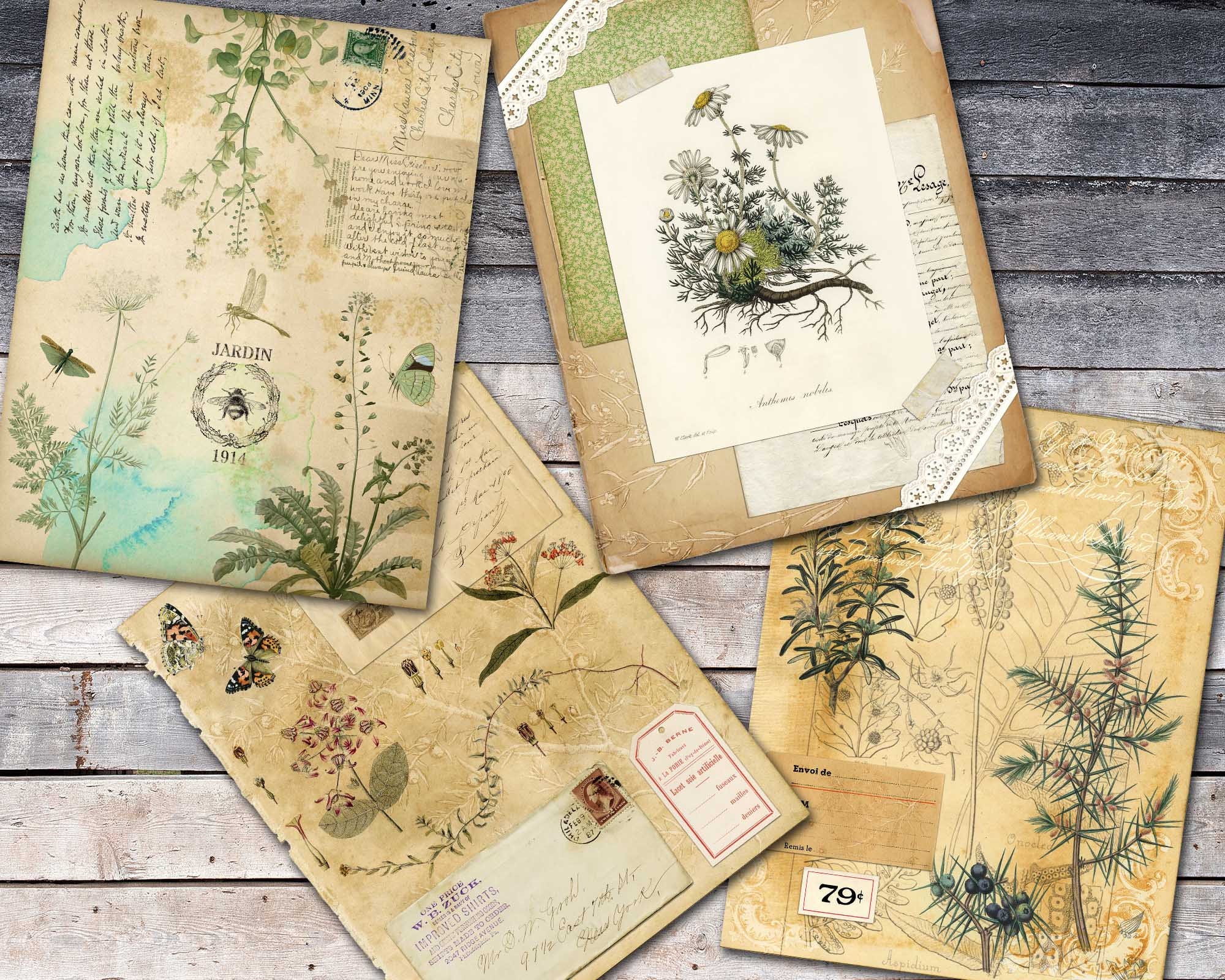 Herbal Printable Paper for Journal Herbs Junk Journal Pages Etsy