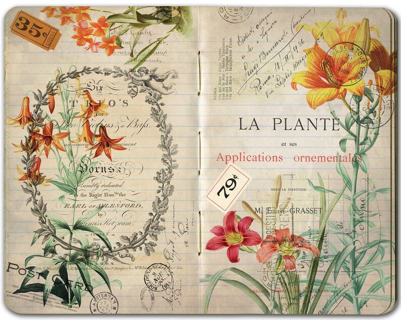 botanical printable paper vintage french ephemera digital