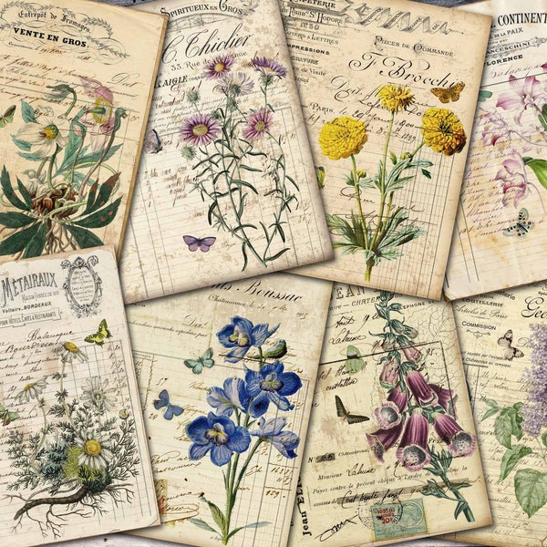 Printable Botanical Ephemera Paper, Digital Download, Vintage Ephemera, French Ephemera, Scrapbook Paper, Botanical Digital