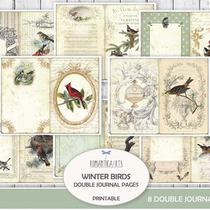 Winter Vogel Journal Seiten, Vintage Vogel, Schäbig Vogel Papier, Weihnachts Vogel, druckbare Vogel, Junk Journal, digitaler Download, Scrapbookpapier