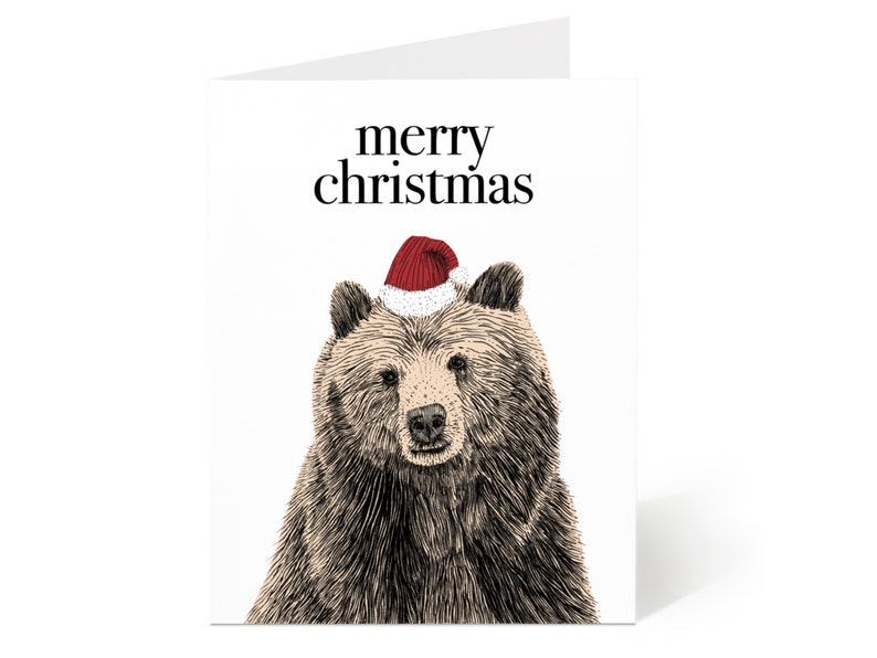 Assorted Set of 10 Christmas Cards Animal Christmas Card Set