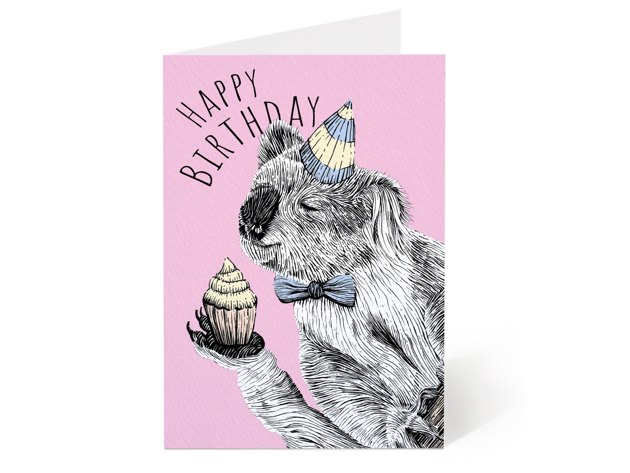 Old English Co. Cute Koala Bear Koality Birthday Card for Her - Fun Koala  Happy Birthday Greeting Card for Women - Cute Animal Birthday Cards for