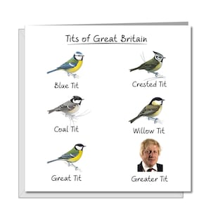 Carte d'anniversaire drôle de Boris Johnson - Amusant humoristique grossier effronté - Bojo Brexit Insult