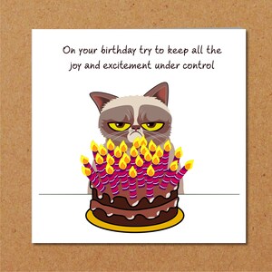 Carte d'anniversaire chat grincheux - drôle, humoristique, amusant - grincheux de mauvaise humeur - mari papa grand-père grand-père - humour image 2