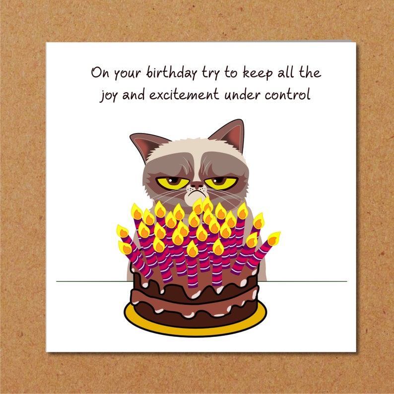 Carte d'anniversaire chat grincheux - drôle, humoristique, amusant - grincheux de mauvaise humeur - mari papa grand-père grand-père - humour image 2