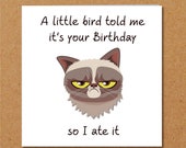 Grumpy Cat Birthday Card for Anyone Who Loves Cats Funny - Etsy