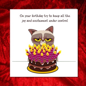 Carte d'anniversaire chat grincheux - drôle, humoristique, amusant - grincheux de mauvaise humeur - mari papa grand-père grand-père - humour image 3