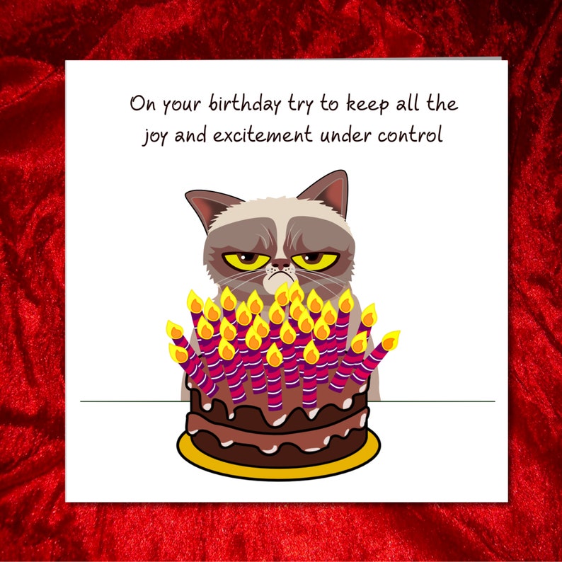 Carte d'anniversaire chat grincheux - drôle, humoristique, amusant - grincheux de mauvaise humeur - mari papa grand-père grand-père - humour image 3