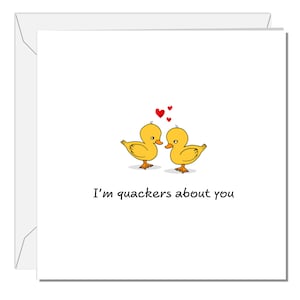 Carte drôle pour carte d'anniversaire, d'anniversaire ou de Saint-Valentin. Petite amie petit ami mari femme canard poussins charlatan amour SWIZZOO