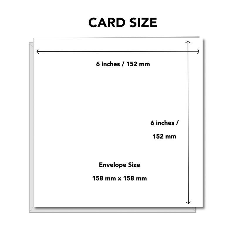 Carte d'anniversaire chat grincheux - drôle, humoristique, amusant - grincheux de mauvaise humeur - mari papa grand-père grand-père - humour image 5