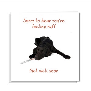 Get Well Soon Card, Feel Better Soon, Speedy Recovery, Sick as a Dog, Crook, Ill- Funny, humoristique, fun - Labrador Card