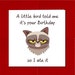Grumpy Cat Birthday Card for Anyone Who Loves Cats Funny, Humorous, Fun ...