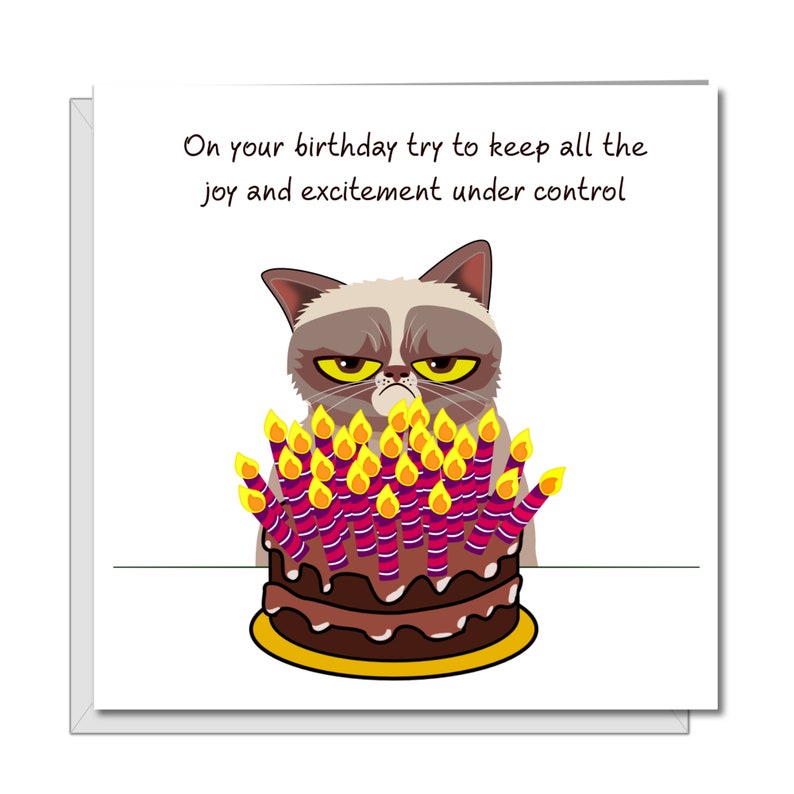 Carte d'anniversaire chat grincheux - drôle, humoristique, amusant - grincheux de mauvaise humeur - mari papa grand-père grand-père - humour image 1