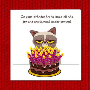 Carte d'anniversaire chat grincheux - drôle, humoristique, amusant - grincheux de mauvaise humeur - mari papa grand-père grand-père - humour image 4