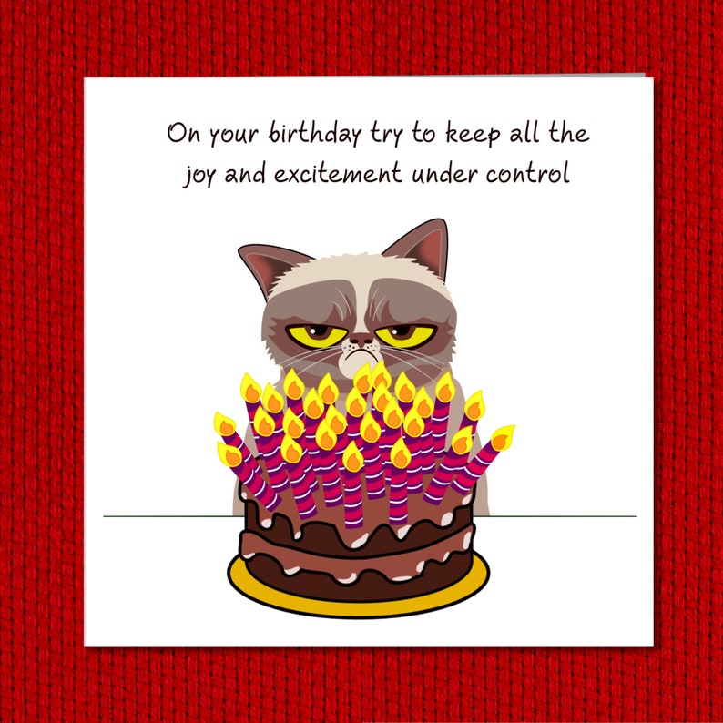 Carte d'anniversaire chat grincheux - drôle, humoristique, amusant - grincheux de mauvaise humeur - mari papa grand-père grand-père - humour image 4