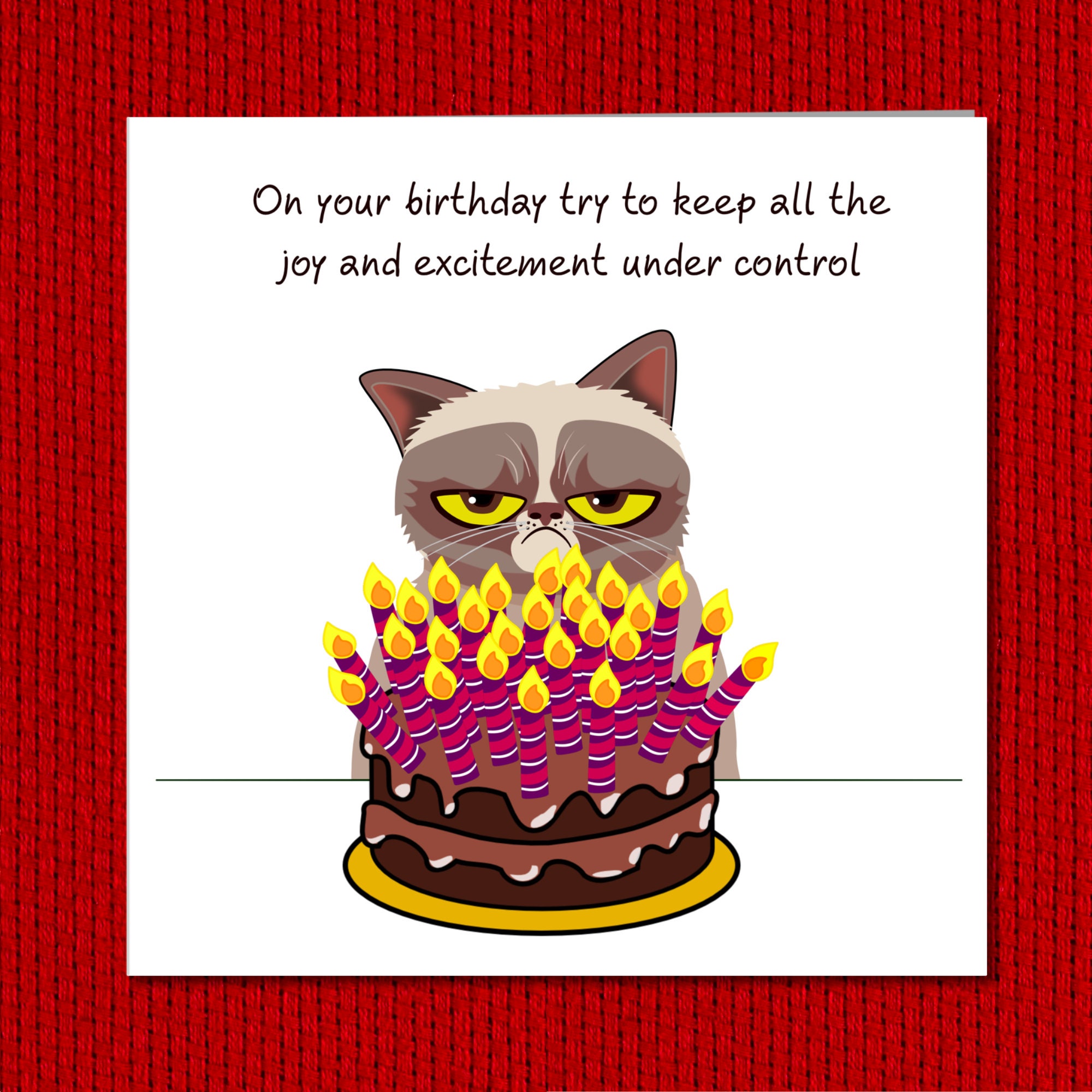 不機嫌な猫の誕生日カード - 面白い、ユーモラス、楽しい - 不機嫌、機嫌が悪い - 夫、お父さん、おじいちゃん、おじいちゃん - ユーモア -  Etsy 日本, image size:2000x2000