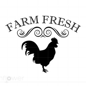 Ferme coq frais SVG, vecteur ferme coq frais cuisine signe Svg Jpg Eps Pdf Png Dxf Cricut Silhouette coupe fichier, téléchargement immédiat SC1057