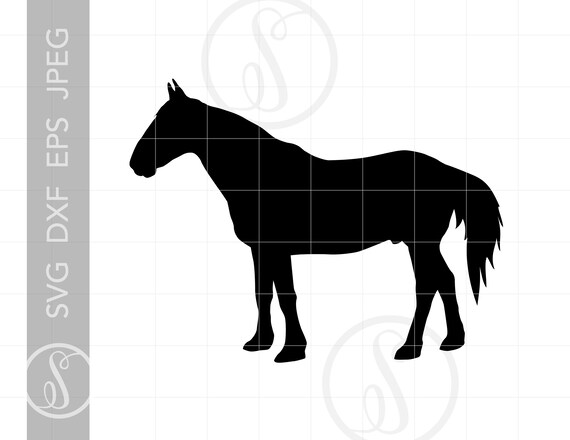 Horse Svg Horse Clipart Horse Silhouette Cut File Full Etsy