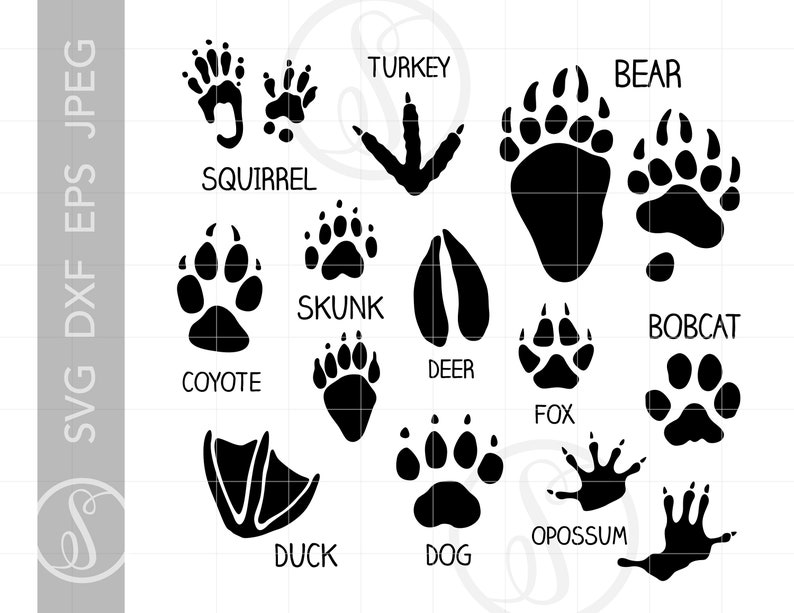 ANIMAL TRACKS Svg Cut File Clipart Downloads Animal Paw | Etsy