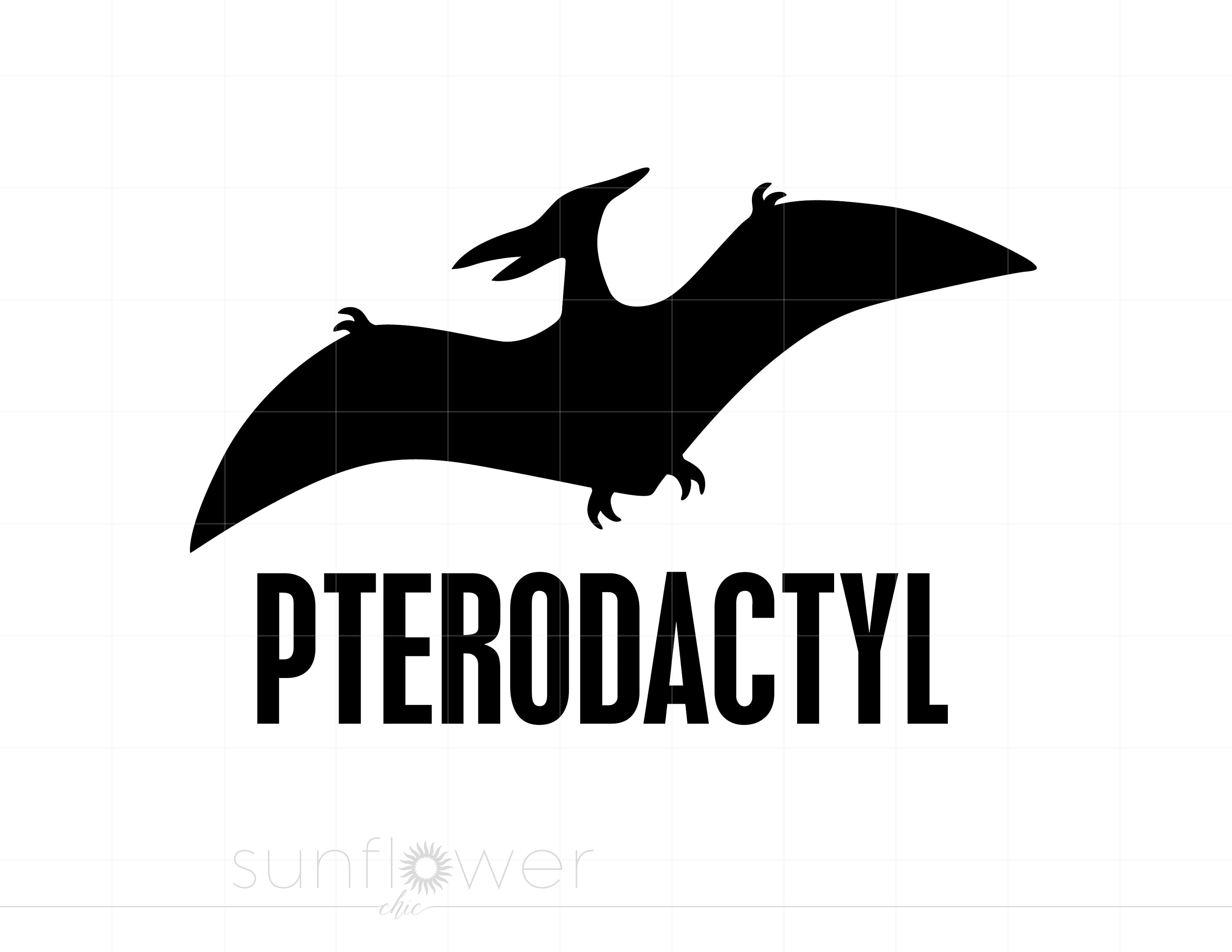 Baby Pterodactyl Dinosaur Color Stroke PNG & SVG Design For T-Shirts