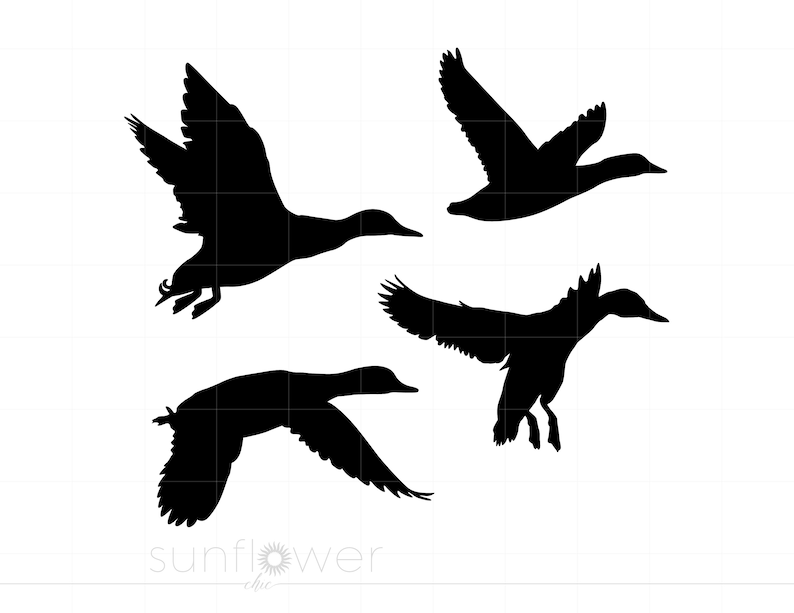 Pode incluir: Silhueta de quatro patos em voo, com as asas abertas. Os patos s&atilde;o pretos sobre um fundo branco.
