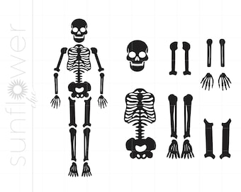 May include: Black and white silhouette of a skeleton with separate body parts, including a skull, rib cage, arms, legs, hands, and feet.
