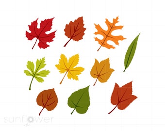 Autumn Fall Leaves Svg Download, Fall Leaves Clipart Svg Png Jpg Cricut Silhouette Cut File, Instant Download SC150