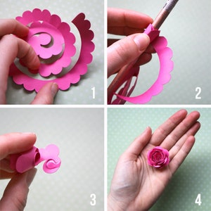 May include: A step-by-step guide on how to make a paper flower. The first image shows a pink paper circle with scalloped edges. The second image shows the paper circle being rolled around a pencil. The third image shows the rolled paper circle being held in a hand. The fourth image shows a finished paper flower.