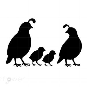 Kwartel familie silhouet SVG – Instant Download voor Cricut & Silhouette SC4079