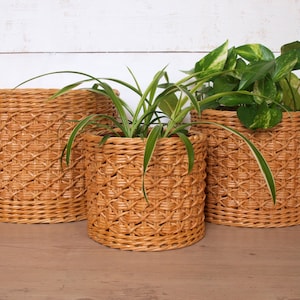 Wicker planter pot holder Indoor planter basket Boho decorative houseplant Natural Beige bohemian plant Indoor garden decor image 3